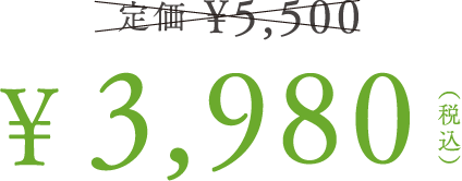 定価 ¥5,500 ¥3,980（税込）