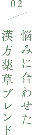 02 悩みに合わせた 漢方薬草ブレンド