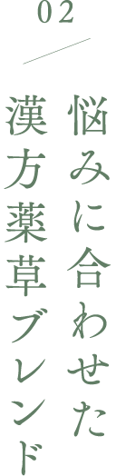 02 悩みに合わせた 漢方薬草ブレンド